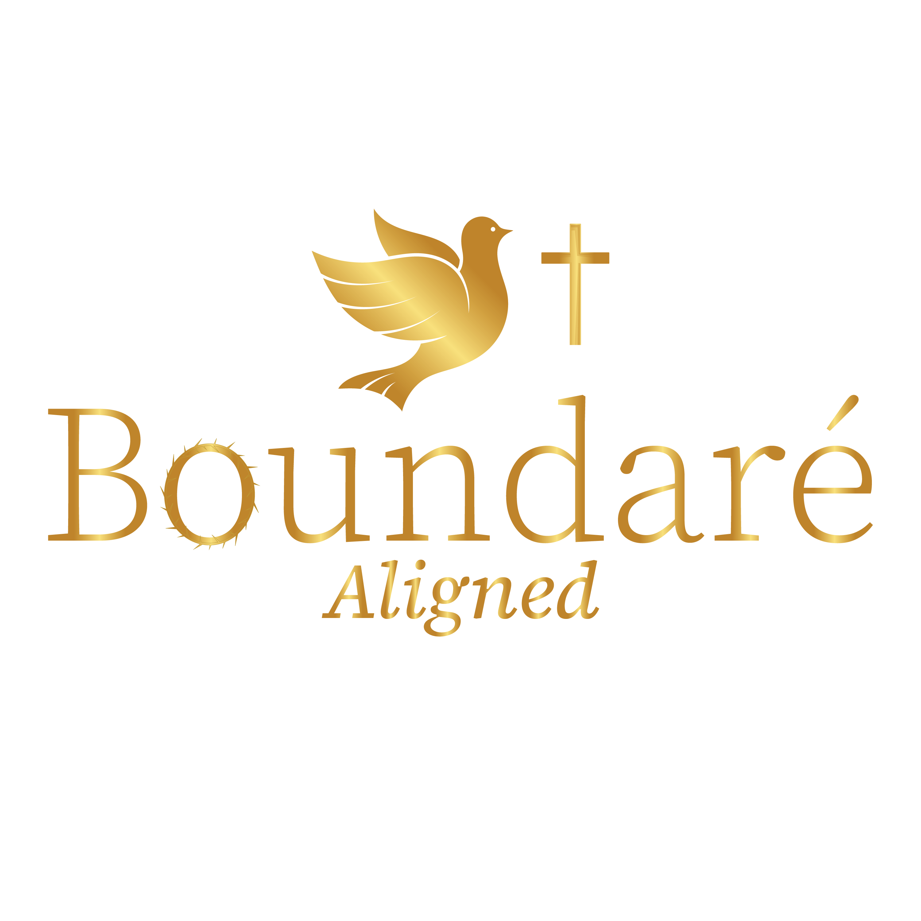 Boundaré Aligned